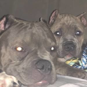 Meet your Posher, Dylan